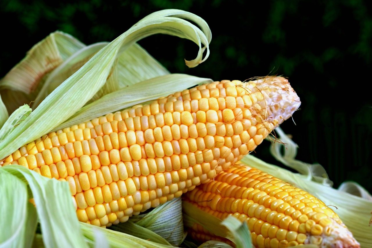 Fresh corn and Mexican street vegetables